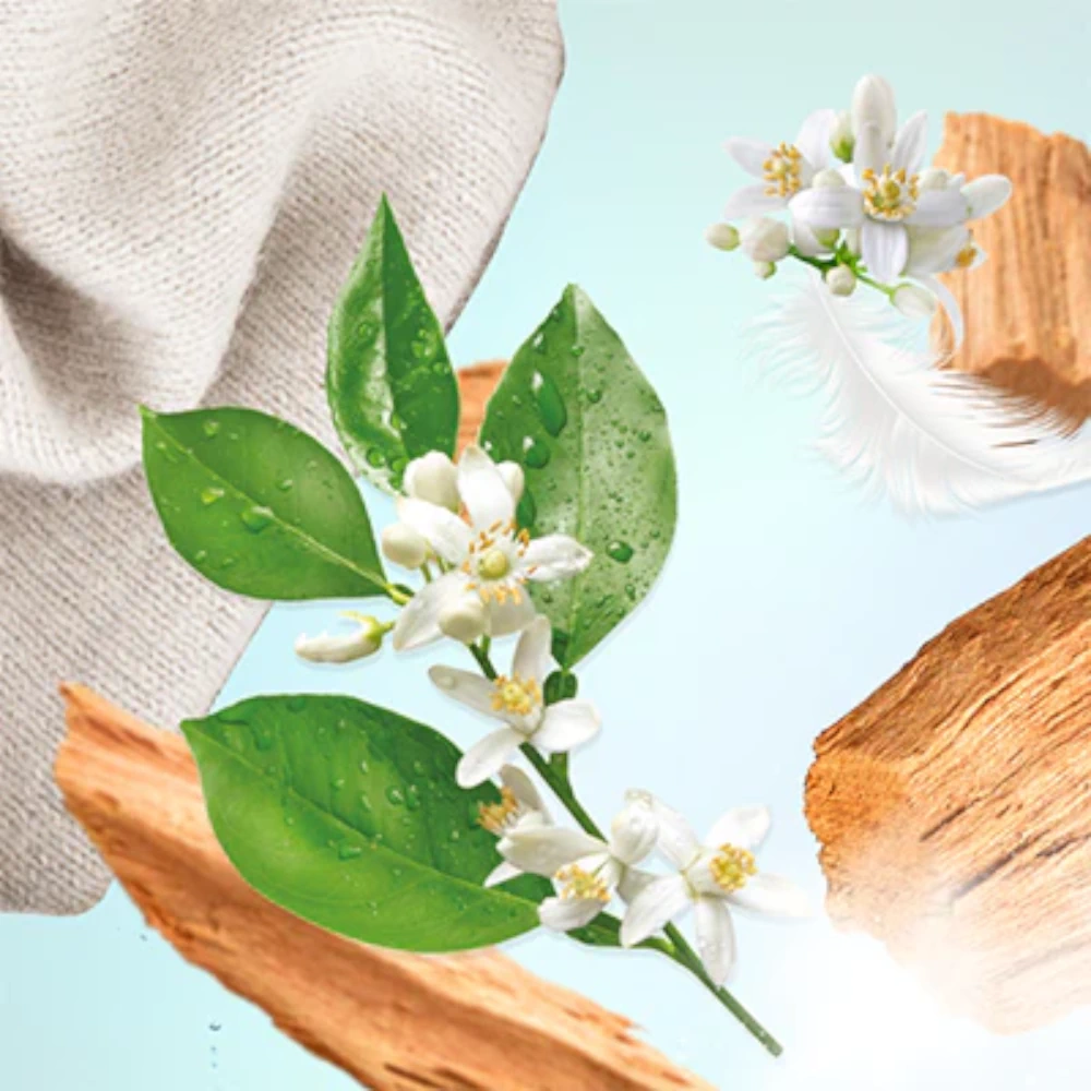 lampe berger refill rein white cashmere ambiente