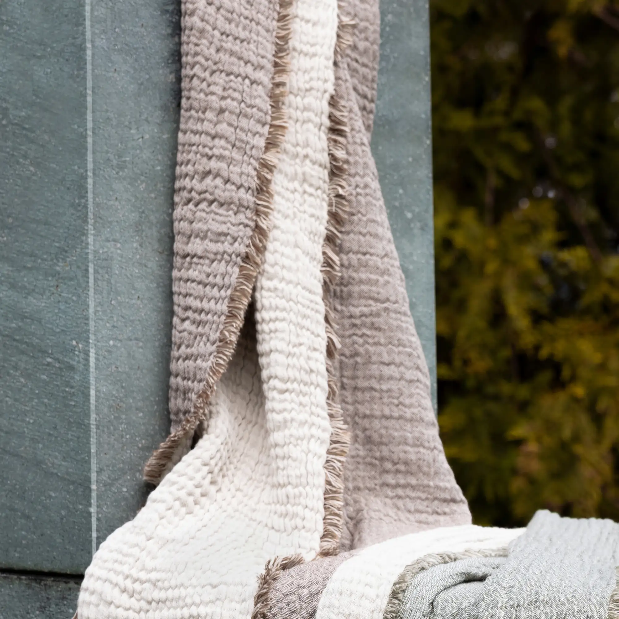 Eskimo Plaid NORA Baumwolle Taupe-Beige