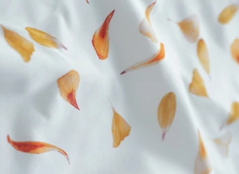 Schlossberg Jersey Royal Bettwäsche aus Baumwolle Schlossberg Jersey Royal Bettwäsche